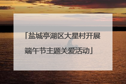 盐城亭湖区大星村开展端午节主题关爱活动